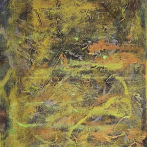 ABSTRACT - ABSTRACT_optimized.webp