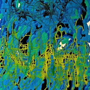 GIRAFFE - GIRAFFE_Printz_optimized.webp